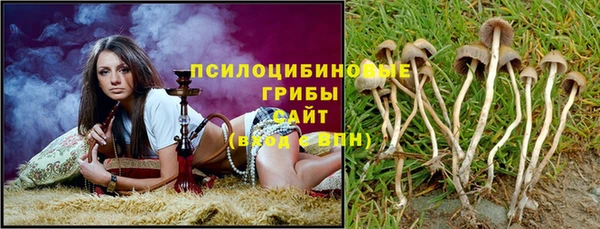 МДМА Нязепетровск
