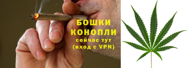 MDMA Новозыбков