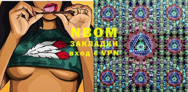 индика Новокубанск