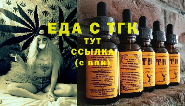 индика Новокубанск
