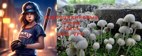 индика Новокубанск